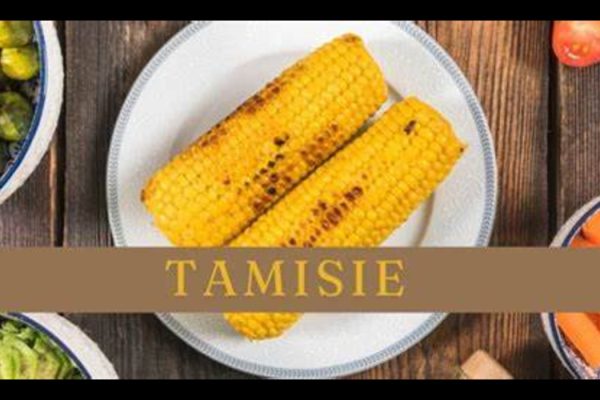 Tamisie: Exploring the Depths of a Complex Concept