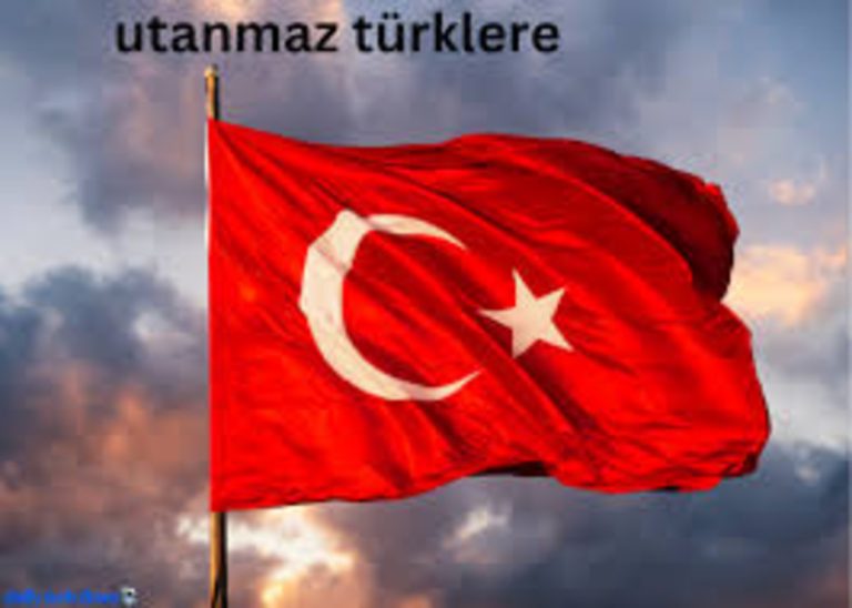 Understanding the Perception of “Utanmaz Türklere”: A Cultural Exploration